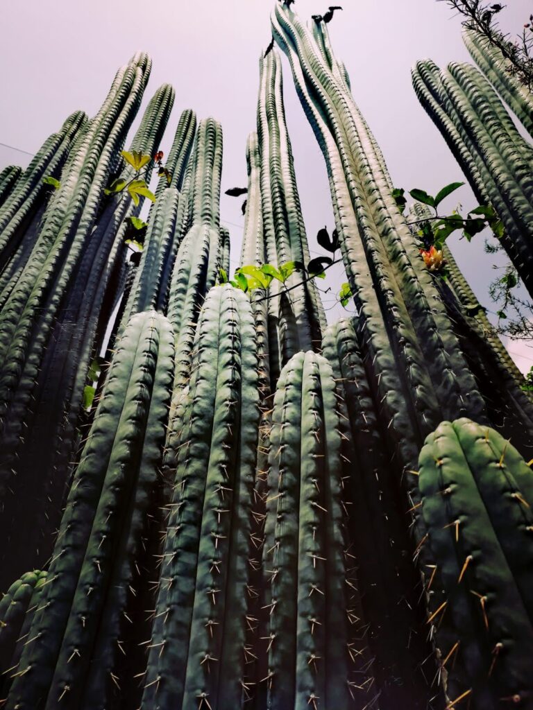 The programs featured image